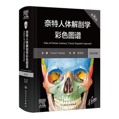 奈特人体解剖学图谱第8版 汉英对照 彩色学图谱 神经系统肌肉骨骼生理学基础肌动学书籍临床基础教材法医人卫版解刨解剖图谱正版
