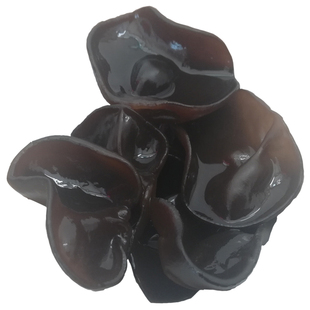 东北黑木耳非野生干货250g黑山木耳肉厚无根优质东宁椴木小碗秋耳