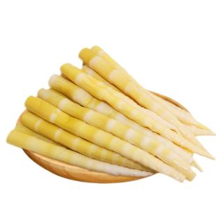 小包装竹笋水笋小冬笋袋装笋片春笋清水笋苦笋丝300克新鲜嫩笋尖