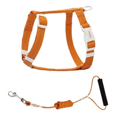 ZOOLAND域揽成幼猫通用工字胸背牵引带防逃脱可调节高颜值遛猫绳