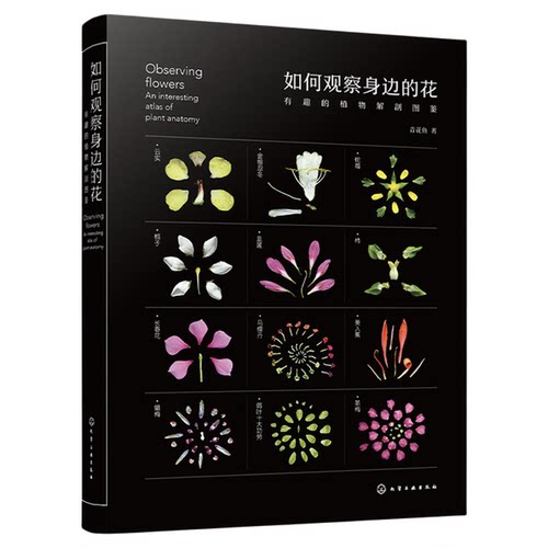 现货 如何观察身边的花 有趣的植物解剖图鉴 植物微距摄影 花朵植物生物学习性 花朵文化背景趣味故事科普书 植物科普鉴别识别图鉴