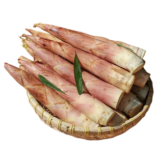 浙江临安本地精品雷笋春笋鲜嫩竹笋新鲜现挖切根春笋3斤顺丰速发