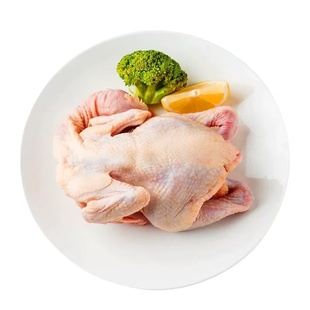 新鲜老母鸡竹林正宗三年走地鸡炖汤黄油母鸡炖煲汤整只冷链发货