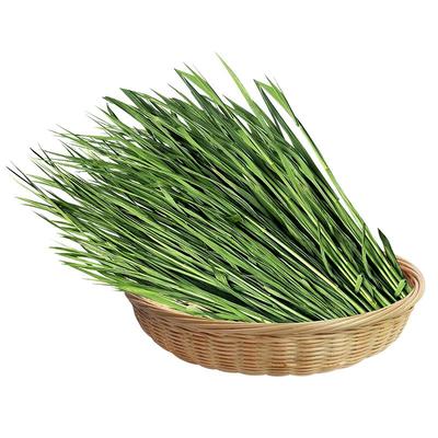 烘干多叶小麦草精品嫩绿牧草