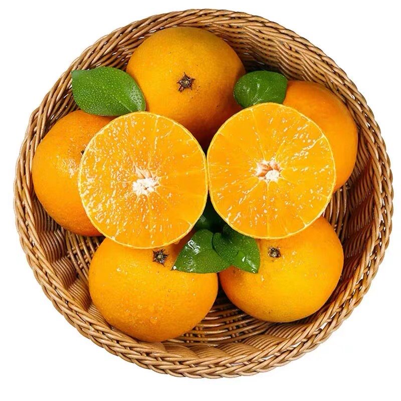 广西桂林夏橙当季现摘非脐橙