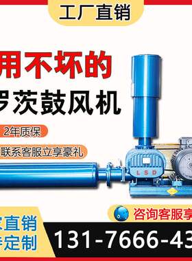 山东隆晟达污水处理曝气罗茨风机 高压力11kw水产养殖鲁式增氧机