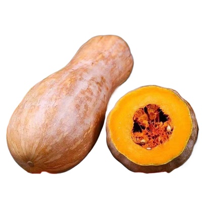 蜜本老南瓜密本甜糯南瓜当季新鲜老南瓜