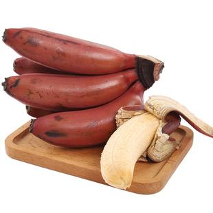 福建土楼特产红香蕉5斤小孩辅食应季自然熟水果现摘香甜红美人蕉