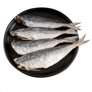北海特产巴浪鱼干梅香咸鱼干小鱼干干货新鲜棍子鱼鳀鱼海鱼下饭菜