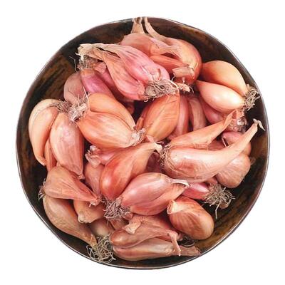 苏北本地红葱头可种植可食用