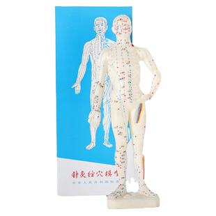 针灸经络穴位模型中研太和高清50cm男女针灸穴位人体医用教学模型