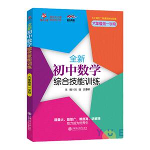 全新初中数学综合技能训练