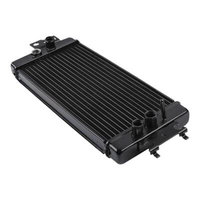 林荫大道M109RVZ800水箱总成