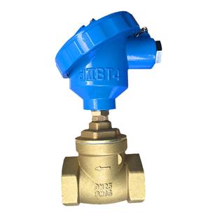 防爆型单向阀挡板式常开流量信号水流感应开关