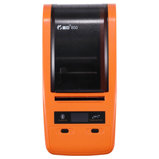 适用精臣B50Z401伟文品胜P50P51P52W210W220通信机房光纤尾纤馈线网线双排QN-20F02F旗刀P型线缆标签打印纸