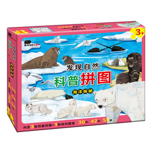 科普拼图海洋动物3到6岁儿童益智早教玩具幼儿认知男女孩双面探秘