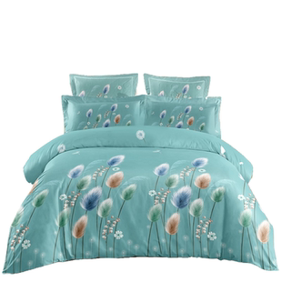 南通家纺四件套全棉秋冬床上用品100纯棉床单被套学生宿舍三件套4