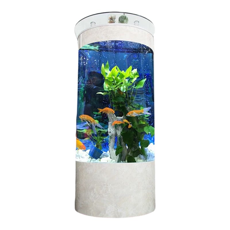轻奢半圆形鱼缸客厅小型家用落地金鱼缸生态免换水玻璃新款水族箱