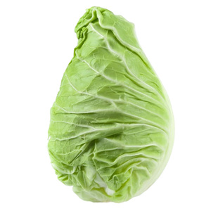 牛心甘蓝苗秧包菜苗卷心菜秧苗种子绿甘蓝苗甘蓝菜苗秧四季种植苗