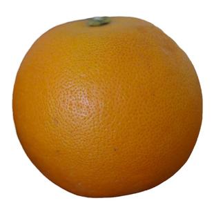 【新品种】每天水果优选湖南不乖橙酸甜多汁似橘如橙子当季新鲜