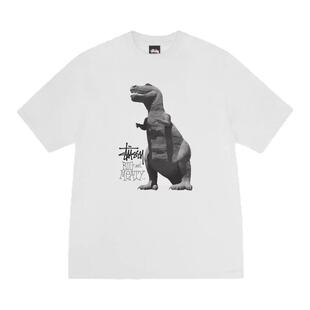 现货 Stussy Big & Meaty Tee 25SS新款恐龙图案水洗短袖T恤