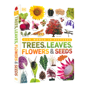 DK Our World in Pictures Trees Leaves Flowers Seeds 我们的世界 图鉴百科 树叶 花 种子 奇妙植物 6-9岁 少儿百科 英文原版