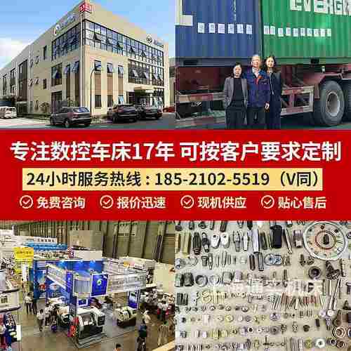 上海通实厂家批发全自动送料TS30G型车铣复合机数控仪表车床