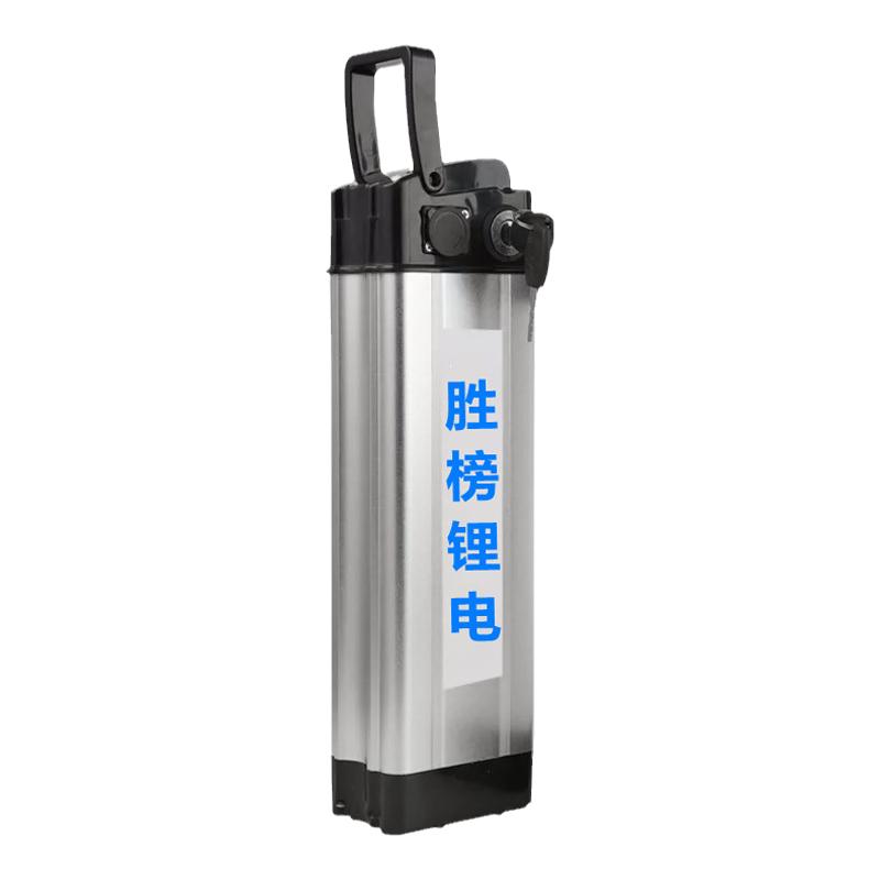 充电锂电池汽车级电芯银鱼款海霸款48v12ah20ah30ah电动车锂电池