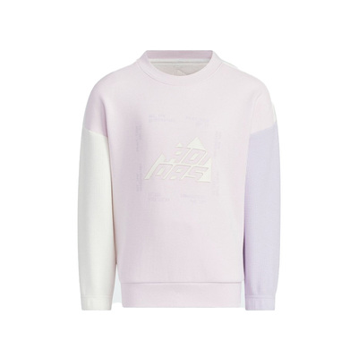 Adidas阿迪达斯儿童简约宽松运动休闲百搭圆领卫衣JI8629