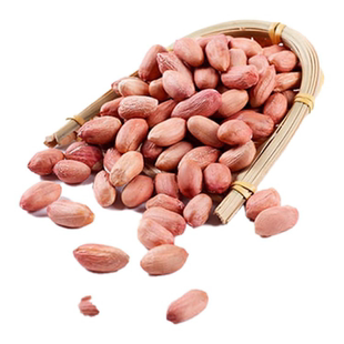 珍农耕 新货农家自产精选花生米打豆浆营养美味