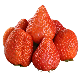 四川攀枝花米易枇杷新鲜水果应季头茬枇杷早中