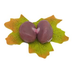 新鲜兔肉整只兔子肉包邮新鲜兔腰烧烤原料生鲜真空农家散养一斤装