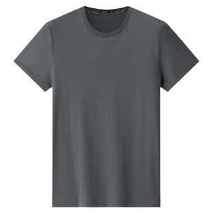 百斯盾官方男装短袖T恤夏季新款简约时尚休闲修身凉爽薄款男体恤