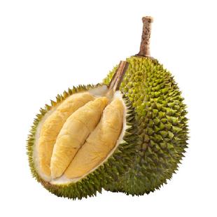 市舶士马来西亚进口名种榴莲D208江海榴莲带壳整果液氮冷冻树熟