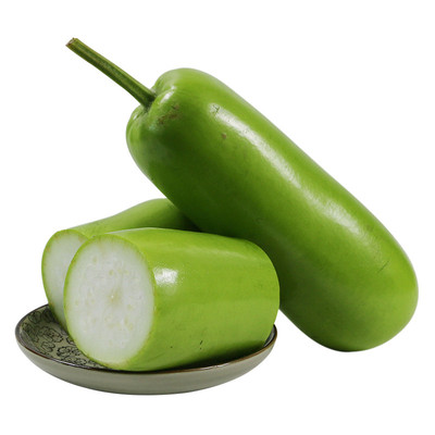 蔬菜瓠子高产四季蒲瓜