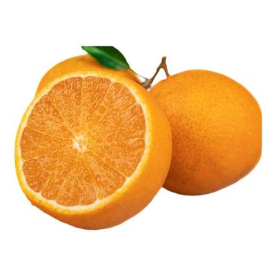 眉山正宗爱媛果冻橙！