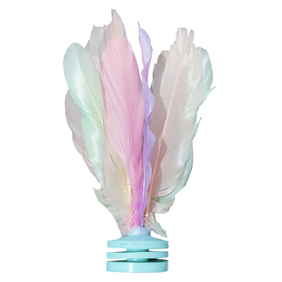 毽子运动专用成人幼儿园儿童小学生耐踢2025新款腱子比赛初学者用