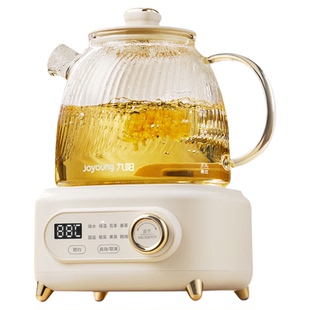 九阳养生壶办公室小型全自动加厚全玻璃保温家用多功能煮茶烧水壶