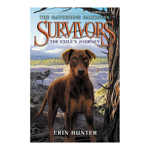 【现货】幸存者:聚集的黑暗5:流放者的旅程 Survivors: The Gathering Darkness 5: The Exile’s Journey英文儿童原版图书外版进