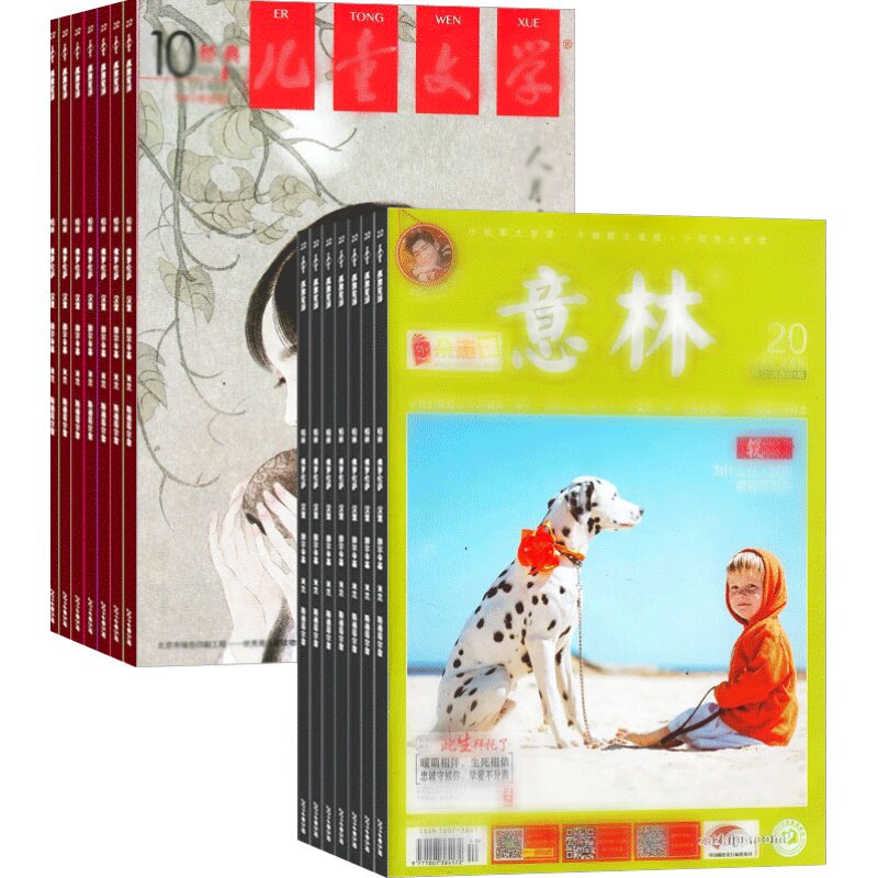 儿童文学少年版加意林