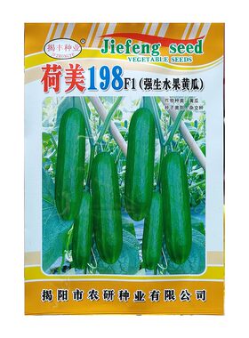水果黄瓜节节瓜种子好吃发率高产