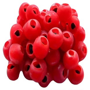 【紫杉果】野生红豆杉果子紫杉果紫杉醇煮水泡酒无硫红豆杉中药材