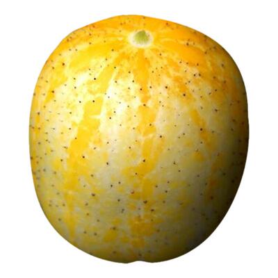 蔬菜美国柠檬迷你小黄瓜四季种子