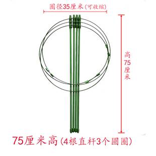 植物支撑器花架花盆枝叶聚拢固定架园艺防倒伏多层四腿环形护花架