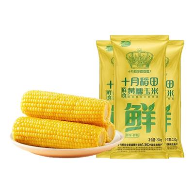 十月稻田黄糯玉米220g/支