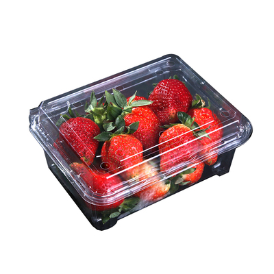 一次性透明包装盒塑料生鲜托盘盒