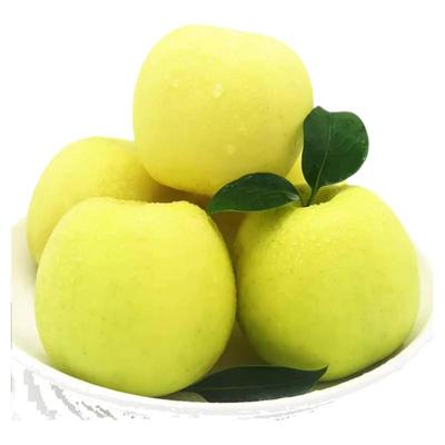 [顺丰]西北农林青苹瑞雪苹果玫瑰香新国光陕西脆甜无添加带皮吃