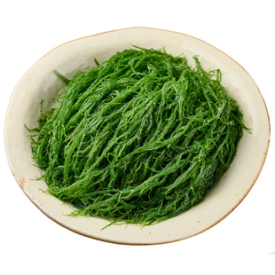 新鲜龙须菜官方旗舰店绿色长寿菜海草海藻盐渍特产级火锅凉拌食材