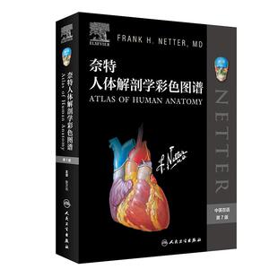 奈特人体解剖学图谱 第八版8彩色局部系统格氏神经临床基础教材内外生理科学医学法医解刨解破医学书籍人民卫生出版社人体解剖图谱