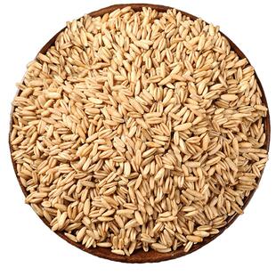 燕麦米新米纯燕麦米生燕麦仁米胚芽米粗粮打豆浆专用五谷杂粮煮粥